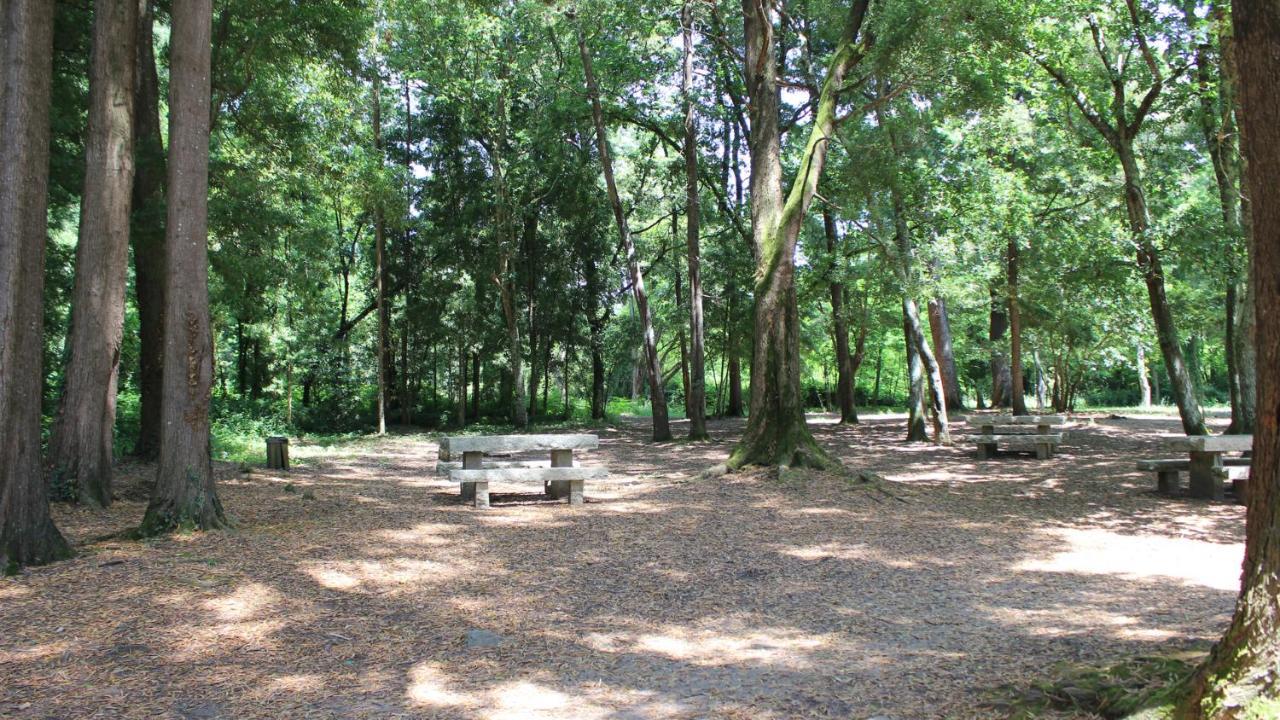 Apartamento Spellos Rosal المظهر الخارجي الصورة